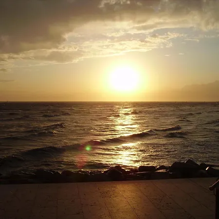 Marea